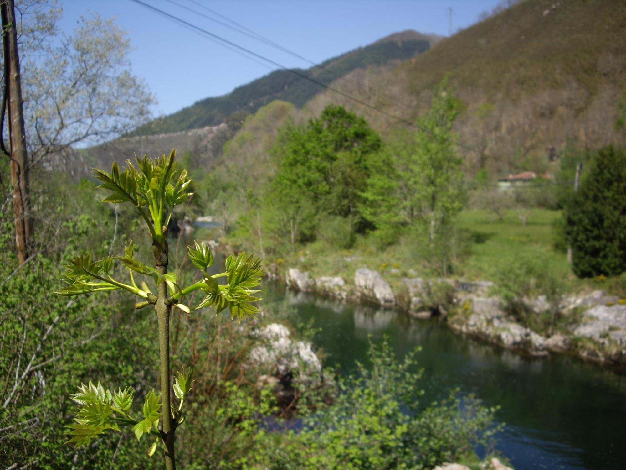 Casa Rural El Canton Onís Dış mekan fotoğraf