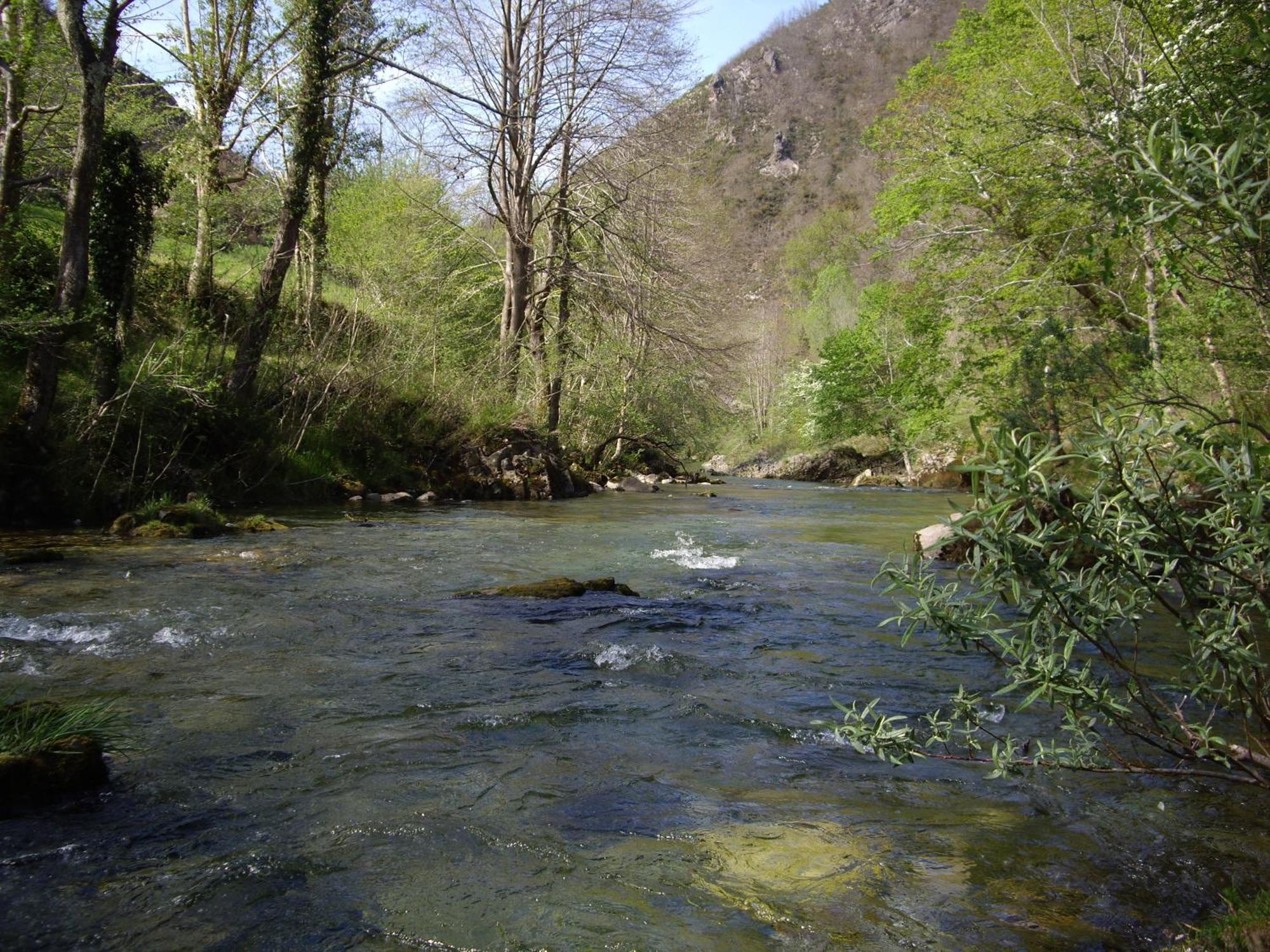 Casa Rural El Canton Onís Dış mekan fotoğraf
