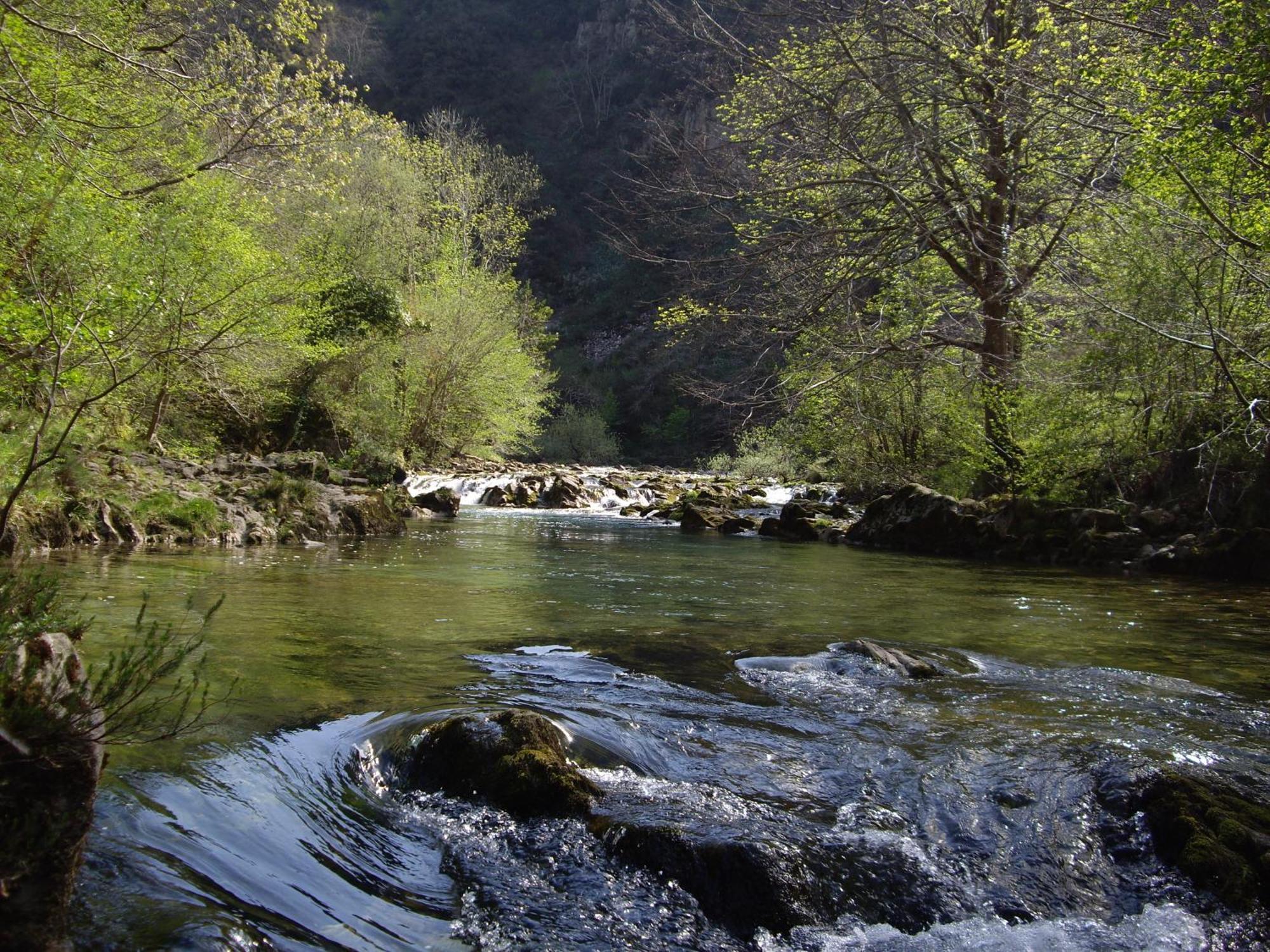Casa Rural El Canton Onís Dış mekan fotoğraf
